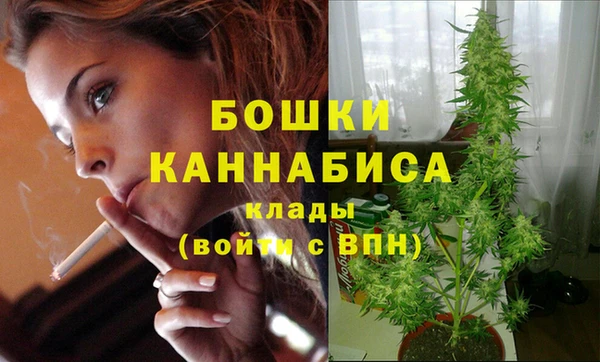 spice Галич