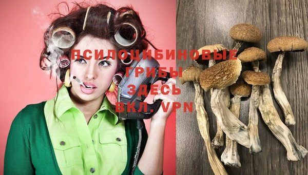 хмурый Пролетарск